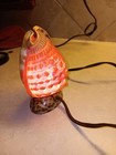 Vintage Bull's Mouth Helmet Conch Shell Table Top Lamp Light — Real Seashells — photo 7