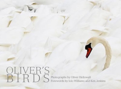 Oliver's Birds: By Oliv by Forewards by Iolo Williams and Ken Jenkins 1788840100