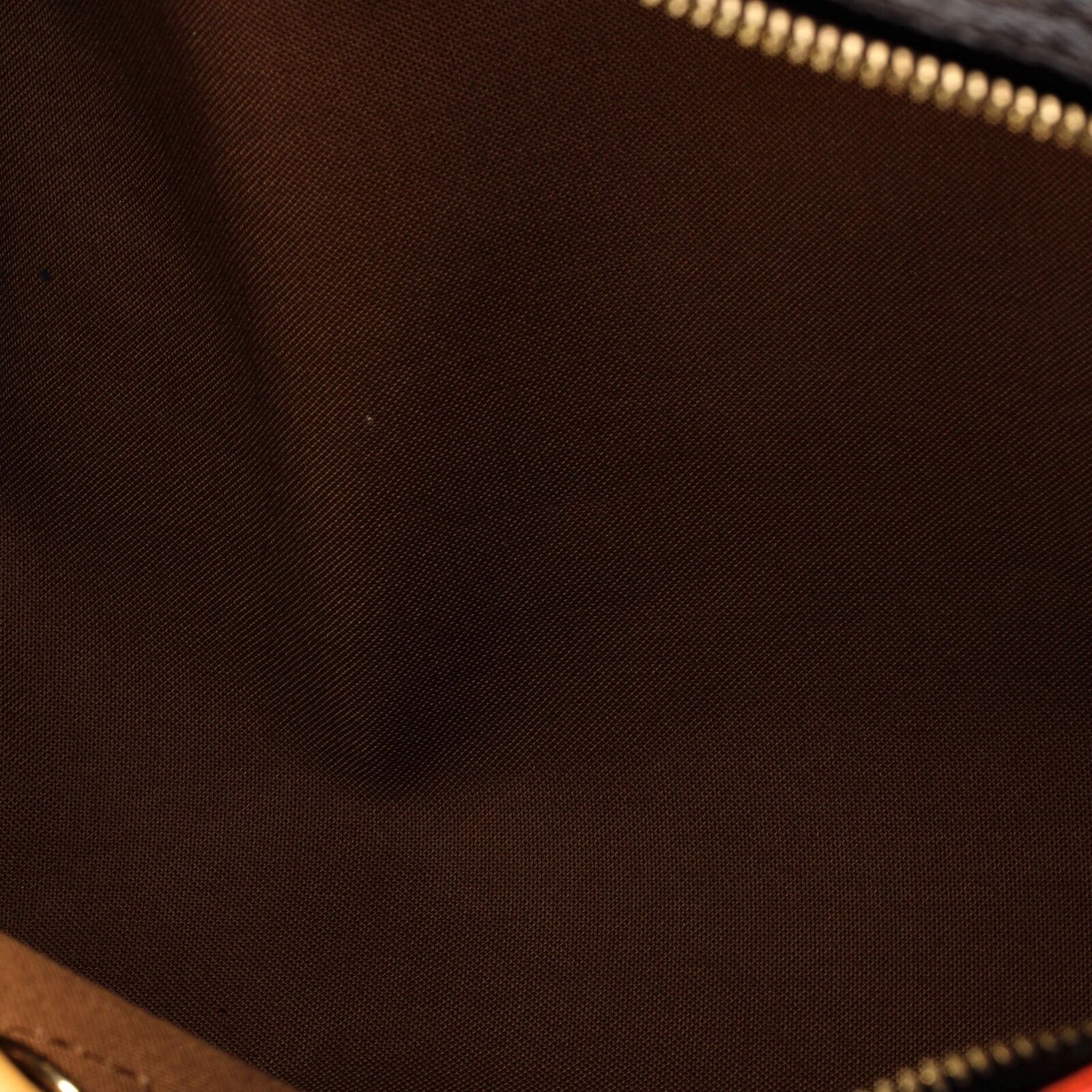 Louis Vuitton Speedy Handbag Limited Edition Monogram Roses 30 Brown  22479753