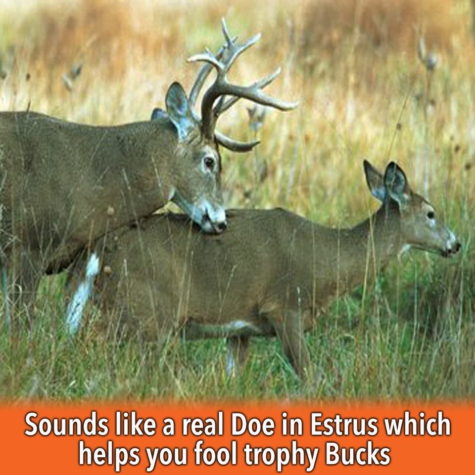 Nationwide Scents Deer Call Buck Grunt Call for Whitetail Deer