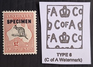 1934 Australia £2.00 Grey&Rose Kangaroo stamp MCCAWMK Type D SPECIMEN gum $275
