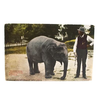 Countess Heine Washington Park Zoo Milwaukee Wisconsin Baby Elephant Unposted