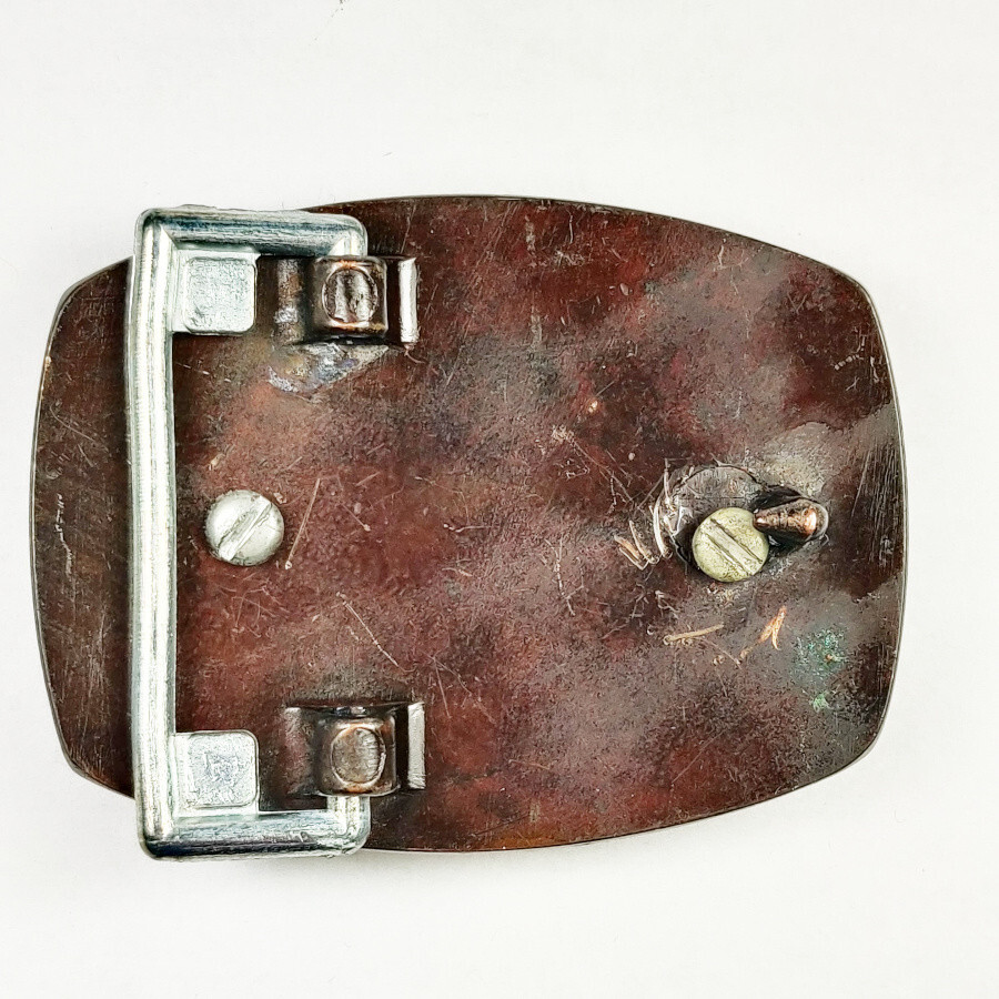 Western Copper Translucent Brown Agate Cabochon S… - image 4