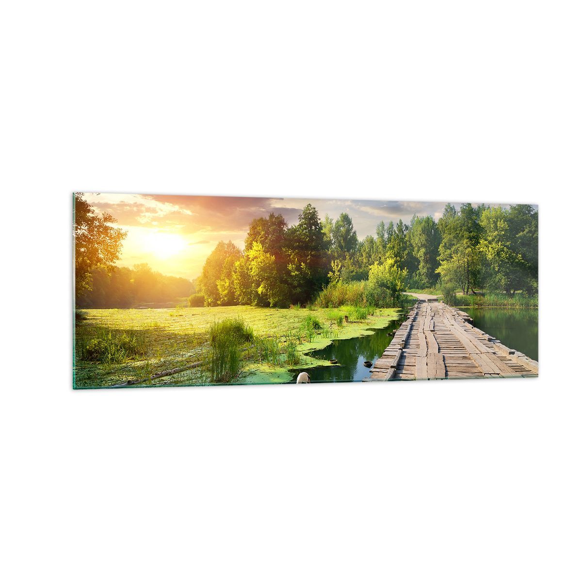 Quadro su Vetro 140x50cm architettura lungomare Cigno Paesaggio Stampe Murale