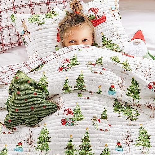 Merry & Bright Collection - Set trapunta Gnome Forest - King King/Cal King - Foto 2 di 6