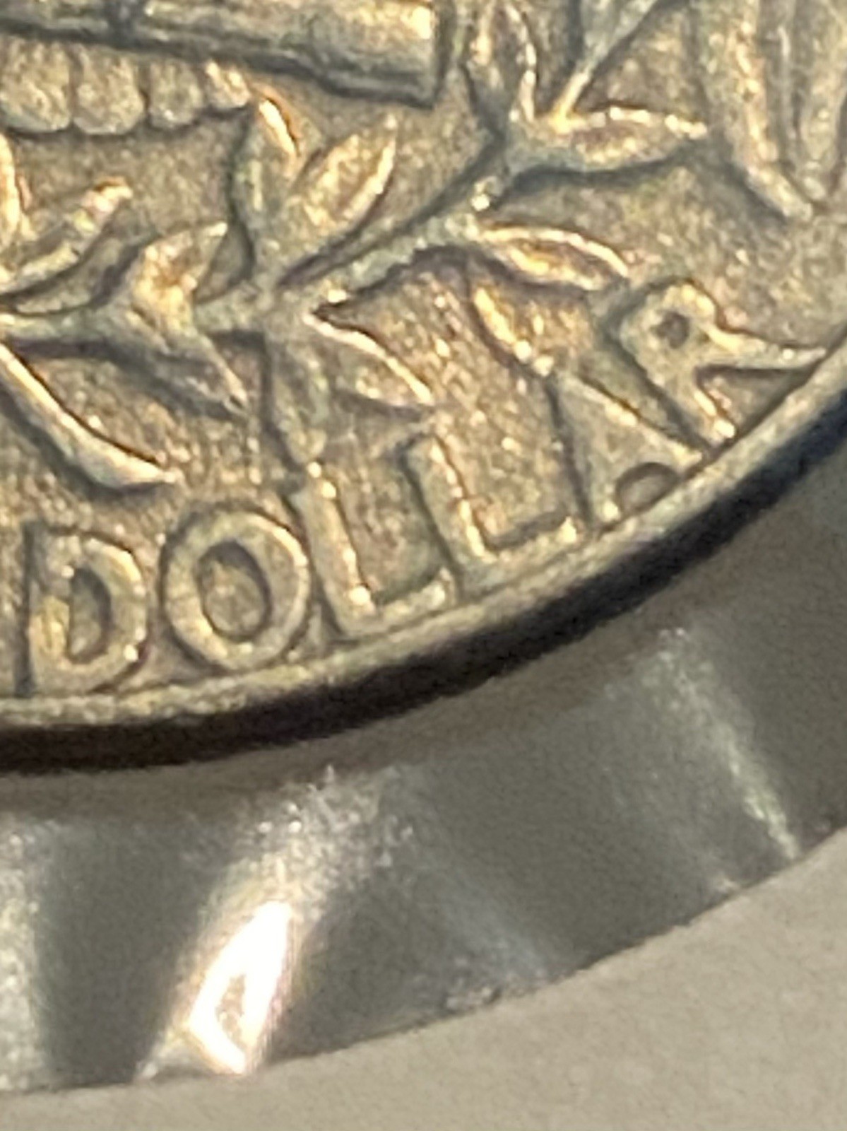 Picture 17 of 17