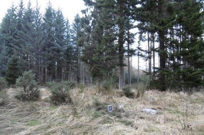 Foto 6x4 Blackhall Waldbrücke von Canny Wasserinspektion Luken in Go c2017