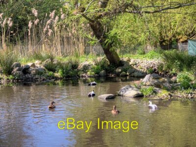 Photo 6x4 WWT Wetland Centre Martin Mere Tarlscough  c2014