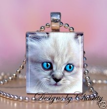 Collar Gato Blanco Scrabble Dije Colgante Gatito Gatito Ojos Azules Angora Felino