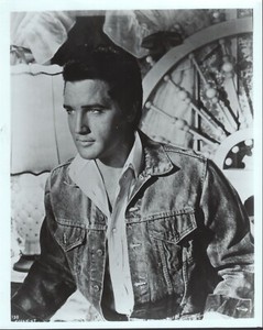 Elvis Presley  8x10 black & white photo  