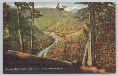 Grand Canyon of PA Colton Point Scenic View Tichnor Linen Postcard