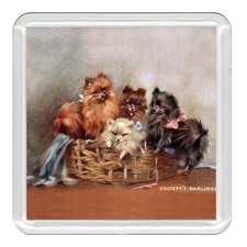 POMERANIAN Dog Acrylic Coaster Novelty Drink Cup Mat Great Gift