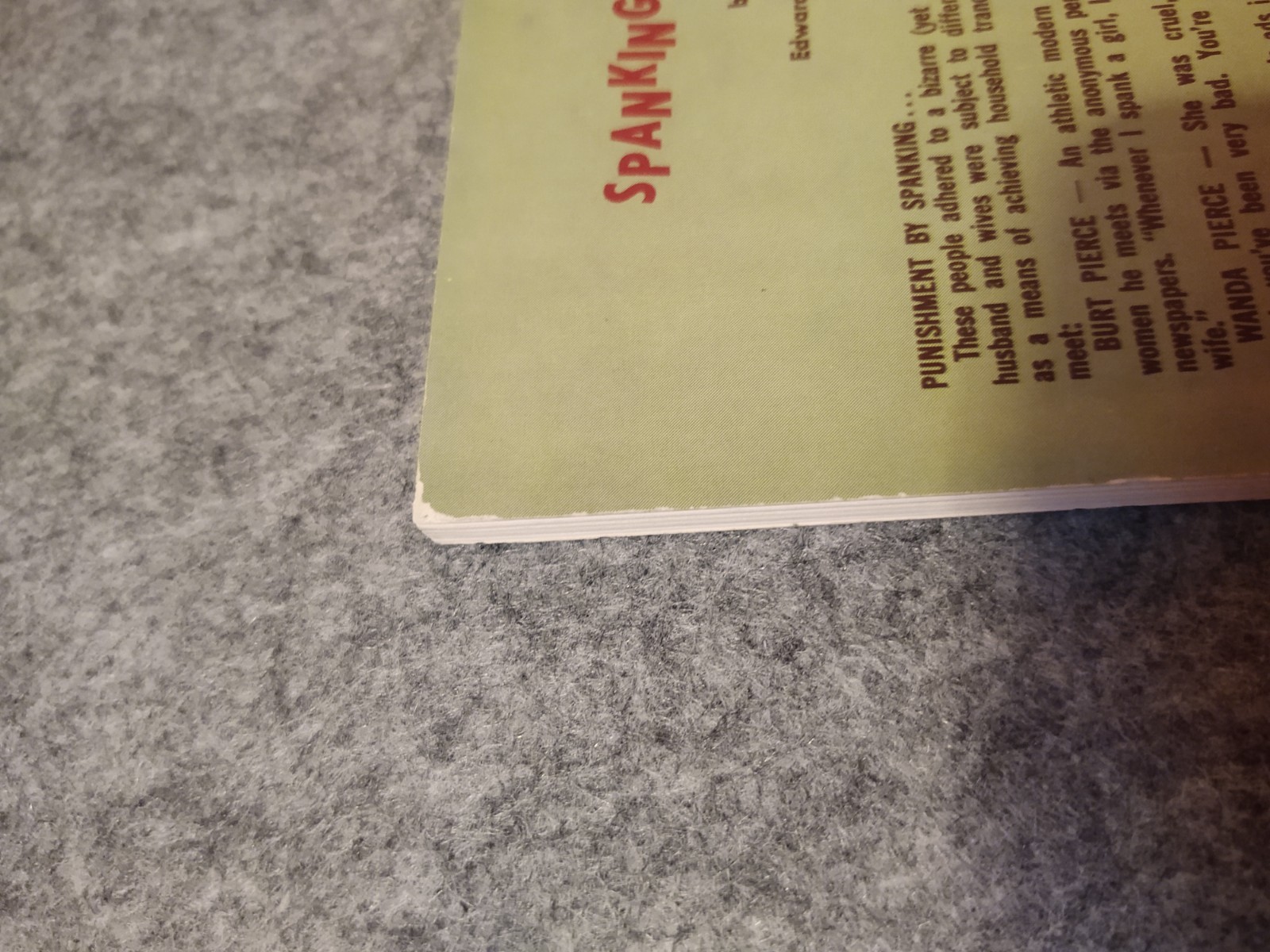 Spanking Novel 1966 Edward Landon Gene Bilbrew eneg bizarre unique books bdsm 