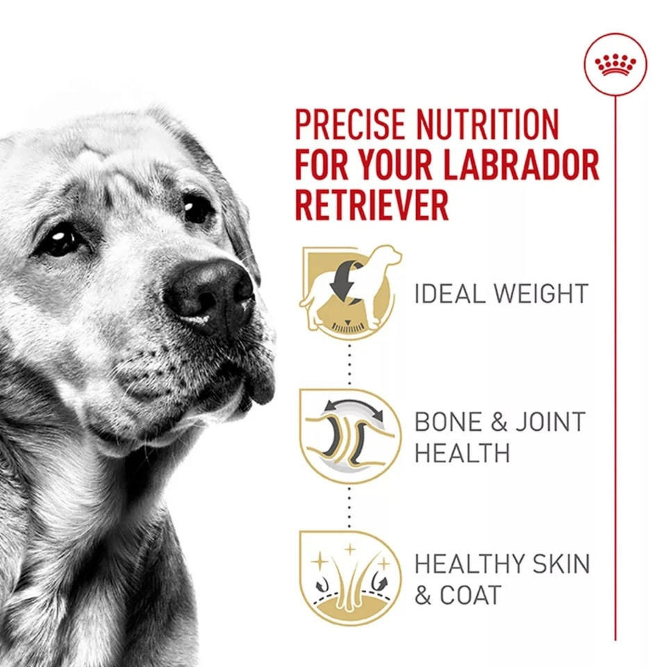 Royal Canin Breed Health Nutrition Labrador Retriever Adult Dry Dog Food 30 lb - Image 3 of 4
