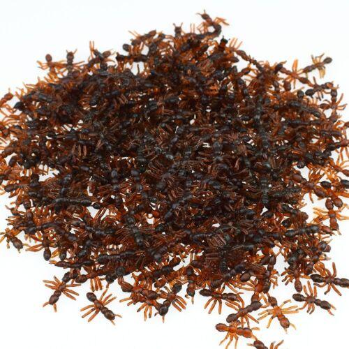 Ants Toy Figure 72 Piece 1/2" party birthday gift toys Fake Plastic Ants 72pcs