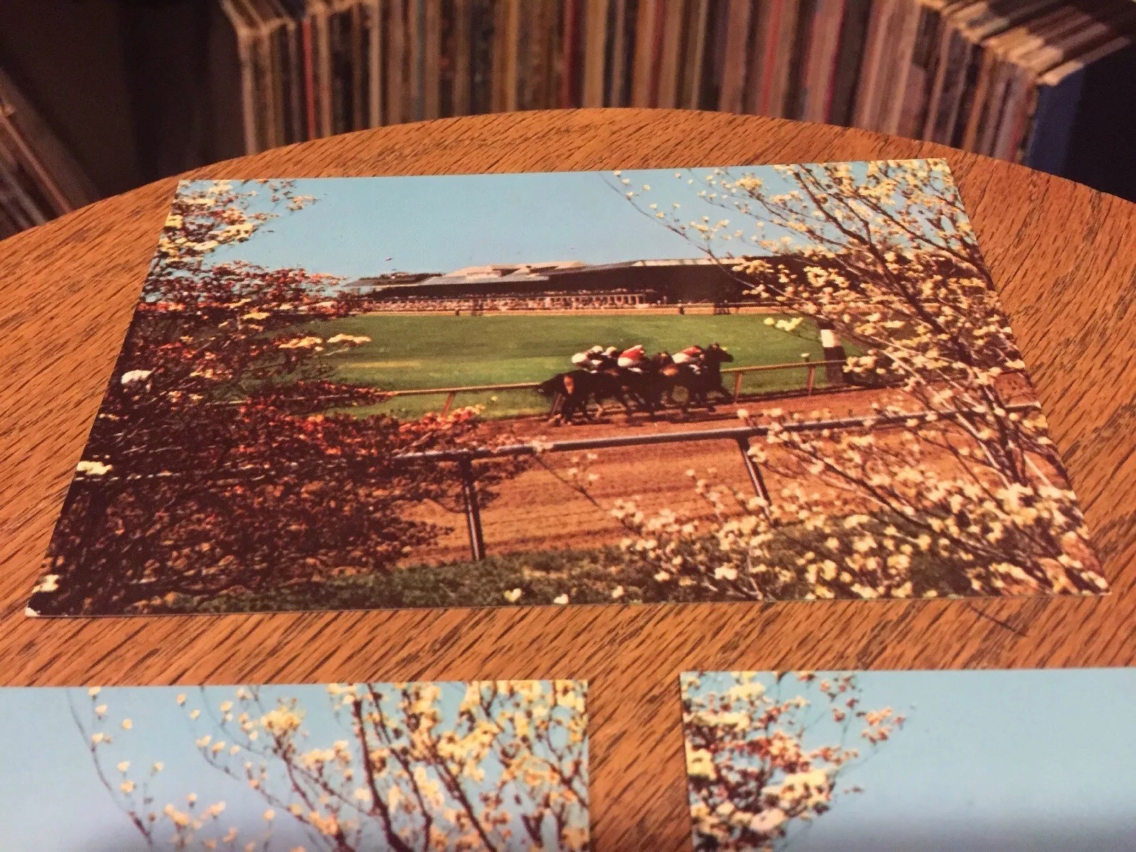 Picture 10 of 10