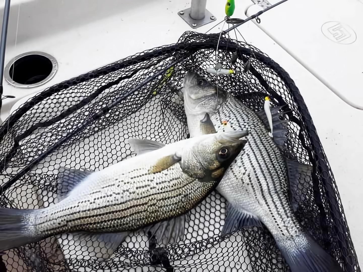 4Pack Premium18g 5 Arm Alabama Rig Head Umbrella Fishing Group Lures Bass Swi... - Image 3