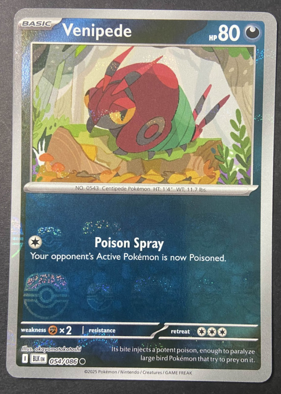 Venipede Masterball Reverse Holo 054/086 Black Bolt Pokemon English NM