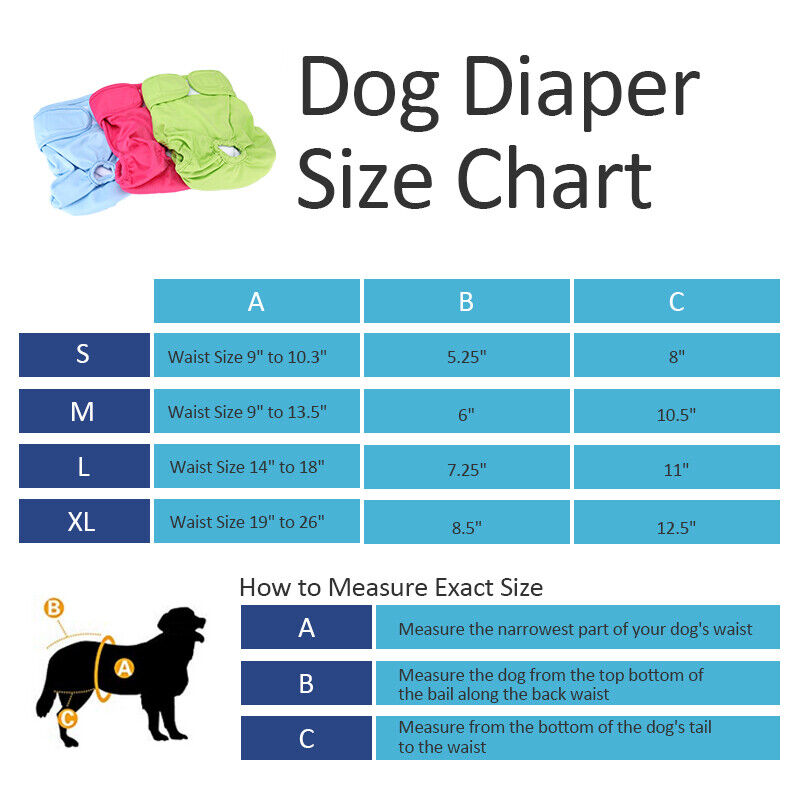 Top Paw Diapers Size Chart