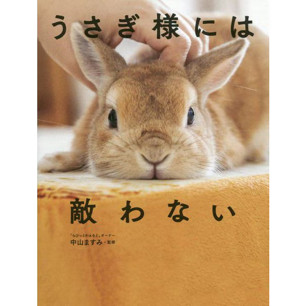 Bunny-sama Hardcover Book Cute Rabbit Love Story For Ages 14+