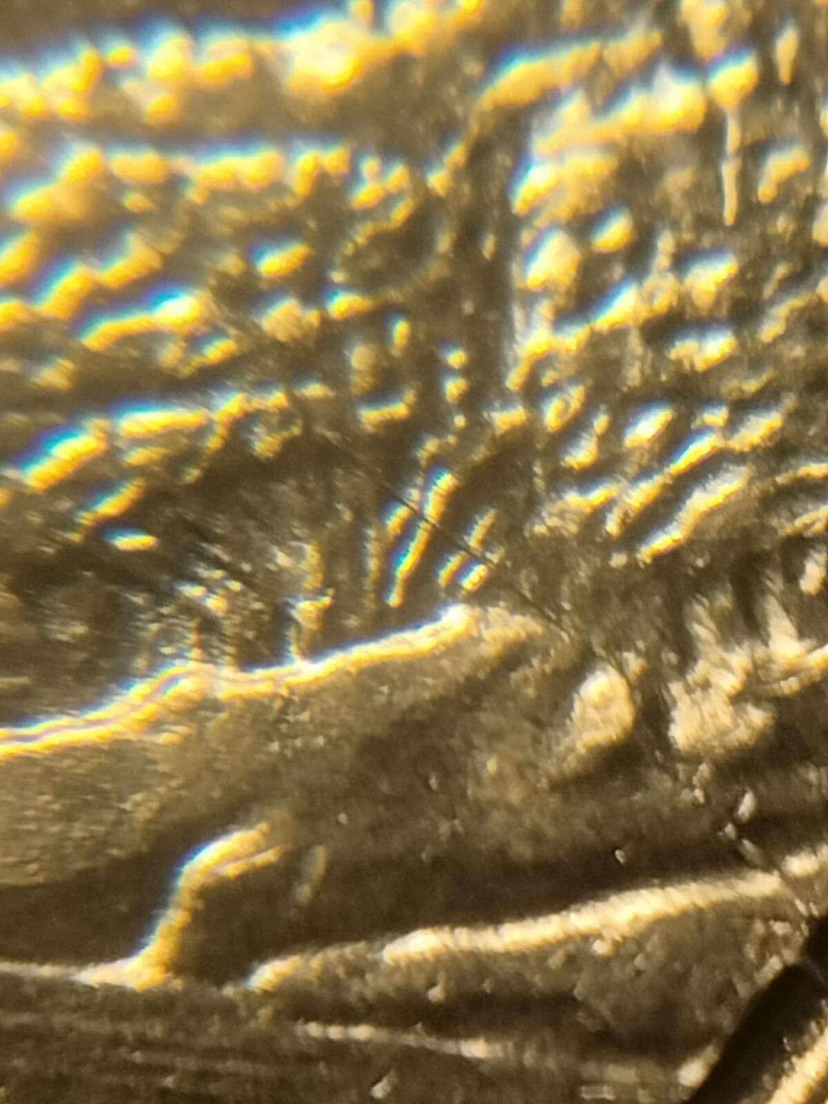 Picture 4 of 12