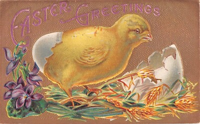 Large Newly Hatched Chicks by Violets & Wheat-1909 Easter PC-Easter Rabbits Seri