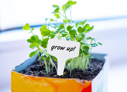 200 Pcs Plastic Plant Labels Garden Marker Vegetable Gardening Tags ,T-Type Gard - Picture 3 of 6