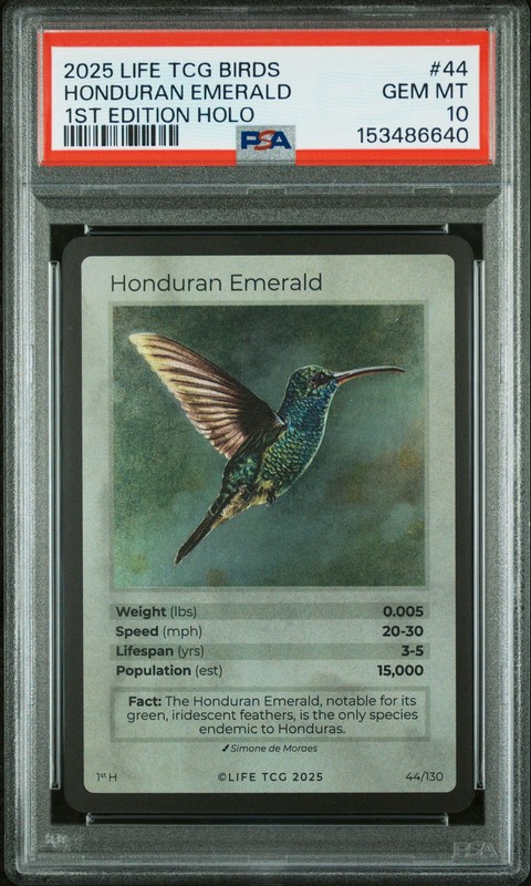 HONDURAN EMERALD 2025 LIFE TCG BIRDS 1ST EDITION HOLO #44 /15000 PSA 10 POP 1