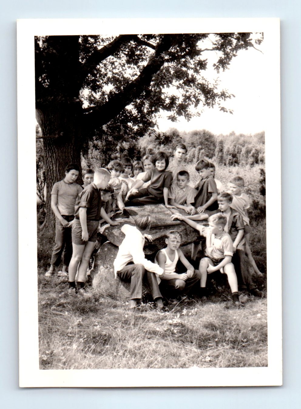 Old Vintage Photo TEEN BOYS GIRLS IN FIELD UNDER TREE GROUP PICTURE SNAPSHOT