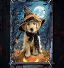 Halloween Window Cover