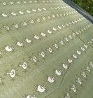 Bild 5 von 11
