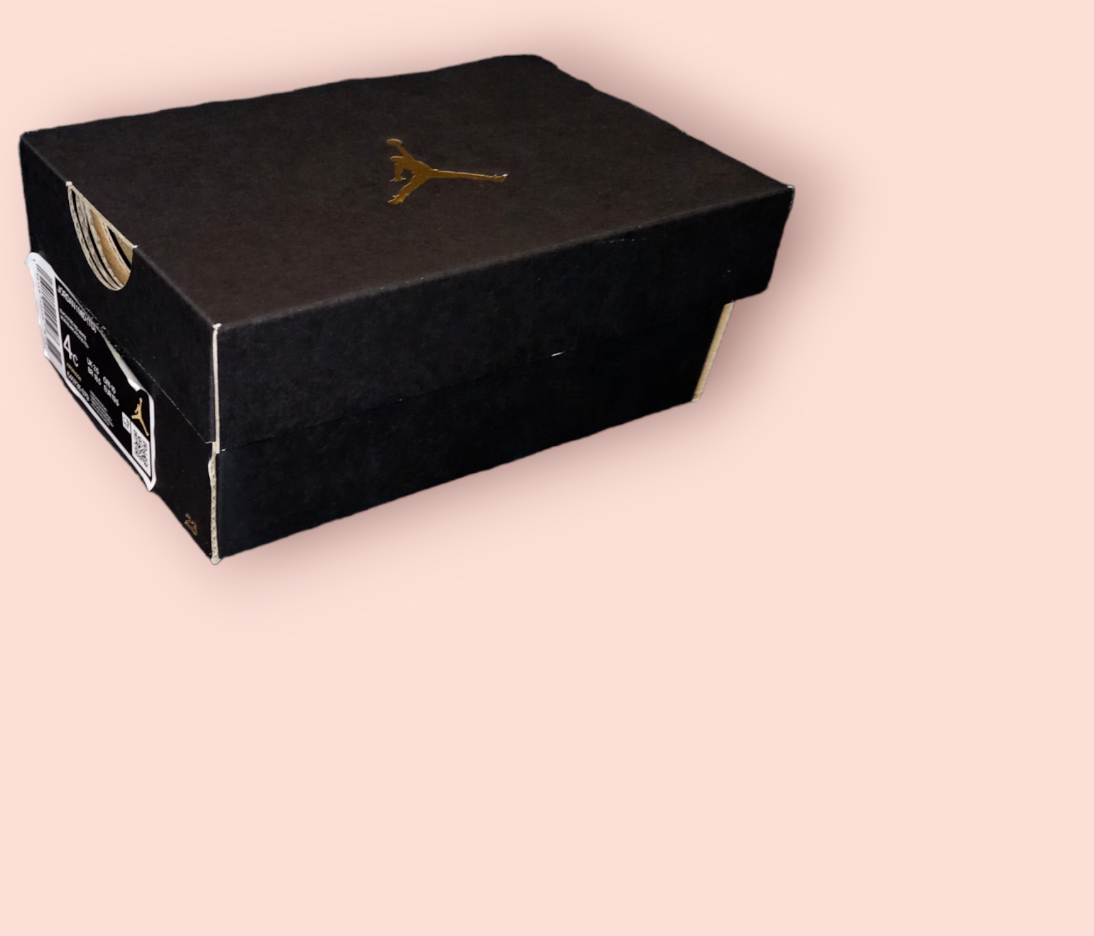 empty jordan shoe box