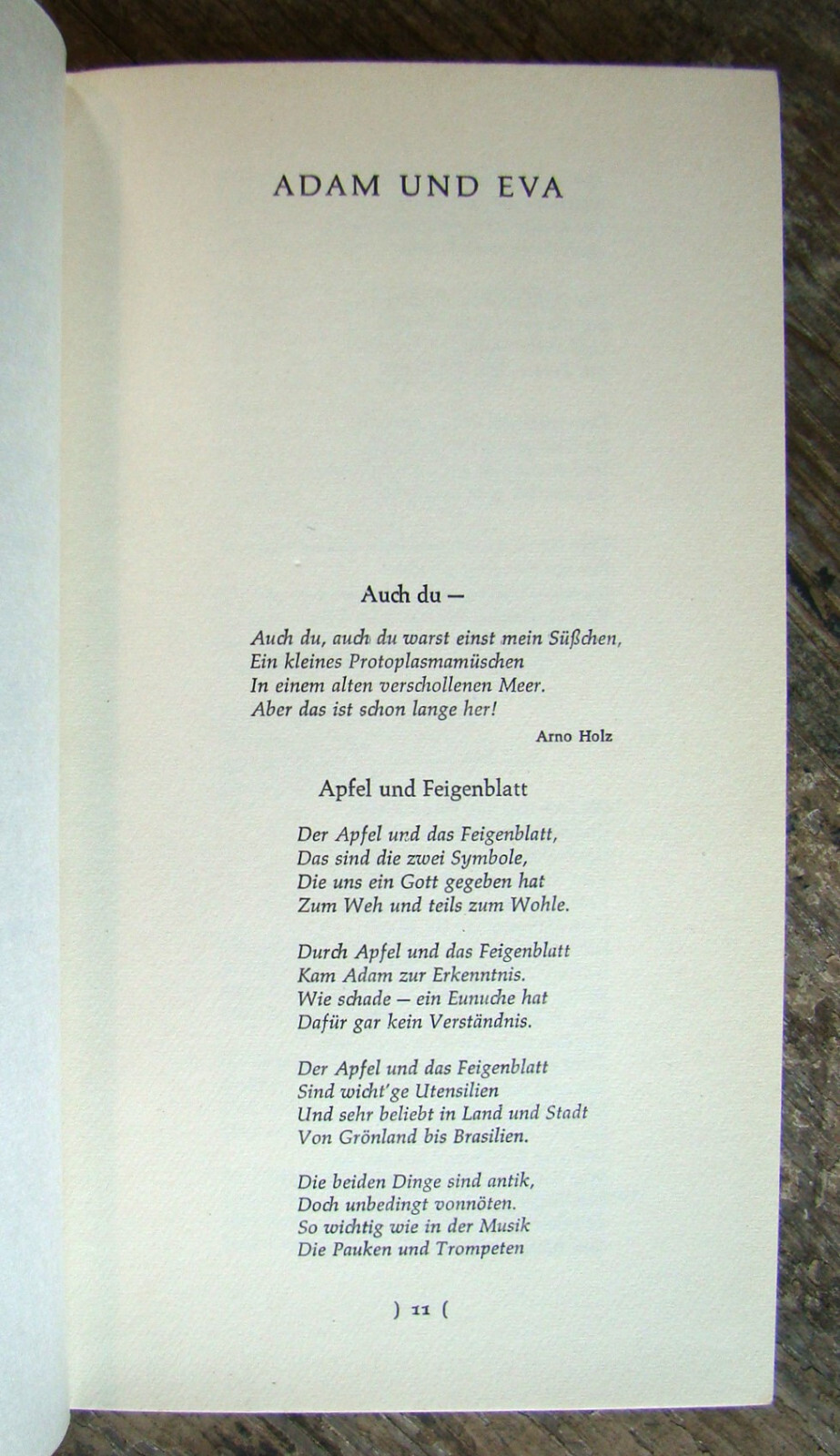 Bild 6 von 13