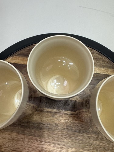 Thermo Serv Plastic Cups Tumblers Rose Floral Tan Vintage Set Of 3 - Picture 4 of 7