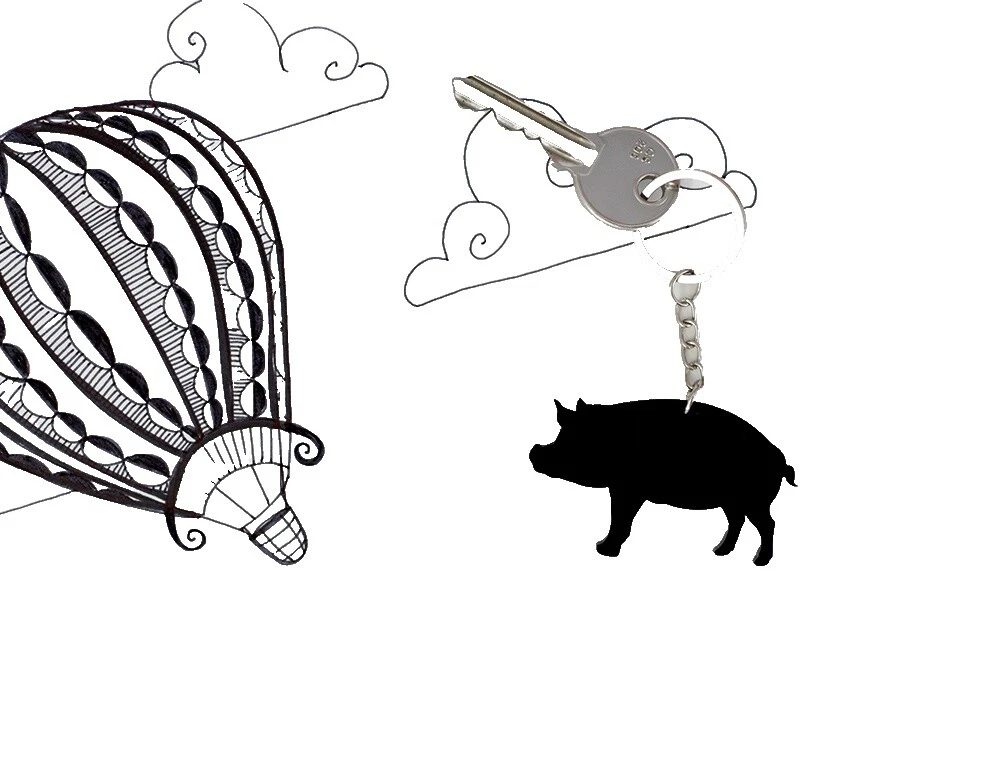 Acrylic Animal Key Key Chains for Men