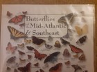 2009 New old stock Butterfly Print Post Card Cape Hatteras Lighthouse Gift Shop — photo 2