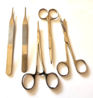 Kit Chirurgico 5 Pezzi: Forbici, Pinze Emostatiche, Portaghi, Strumenti In Acciaio ODM