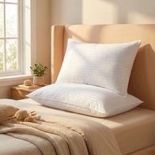Bed Pillows 2-Pack Queen Size Luxury Hotel Pillow for Side and Back