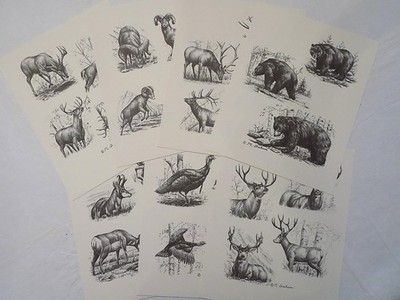 Vintage Pall Mall Wildlife Artwork 8x10 Michael Graham Prints Set of 7