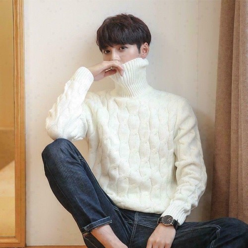 Mens Knit Sweater Turtle Neck Jumper 