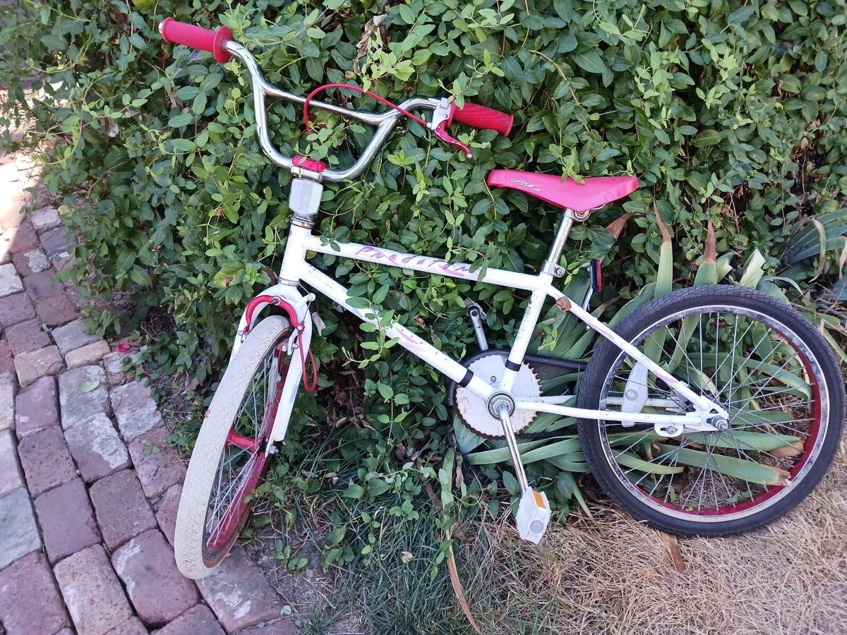 Schwinn predator 1987 hot sale