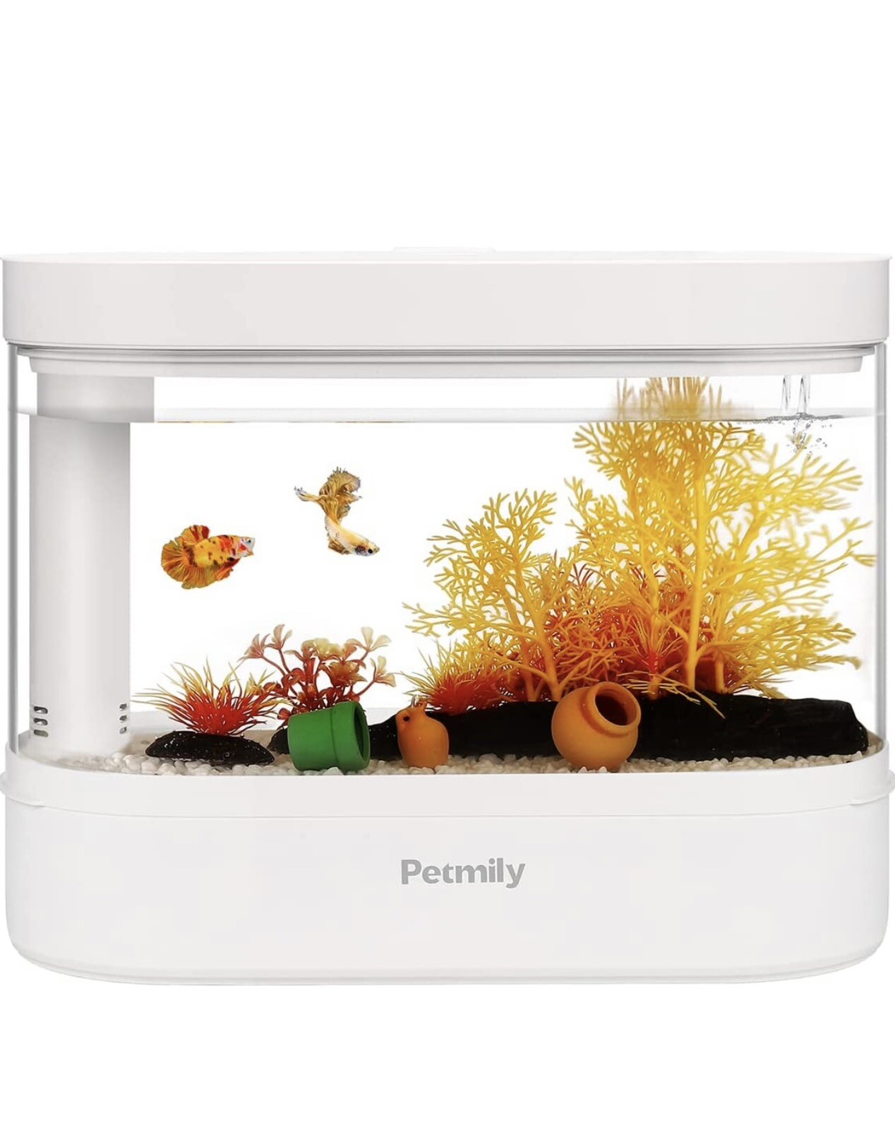 fish tank complete set