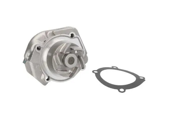 Thermotec Pompa Dell'acqua D1f020tt - Immagine 2