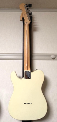 Squier by Fender Deryck Whibley Signature Telecaster SUM41