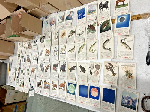 Vintage 70+ 1930s Coca Cola World of Nature Series