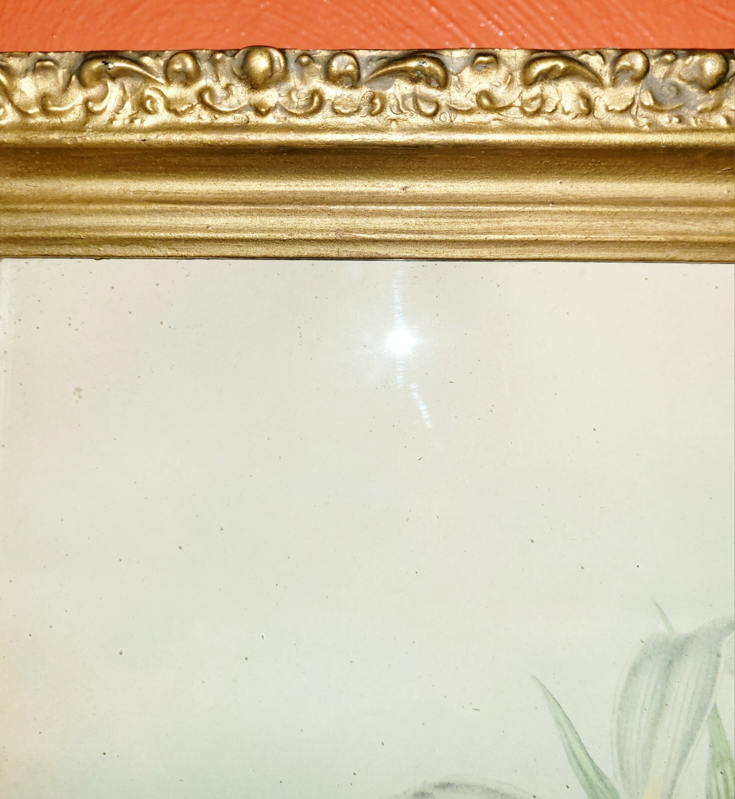Picture 22 of 24