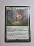 Sylvan Offering Commander: the Lord of the Rings: Tales of Middle-Earth Regular