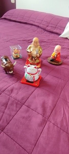 Figuras solares en movimiento