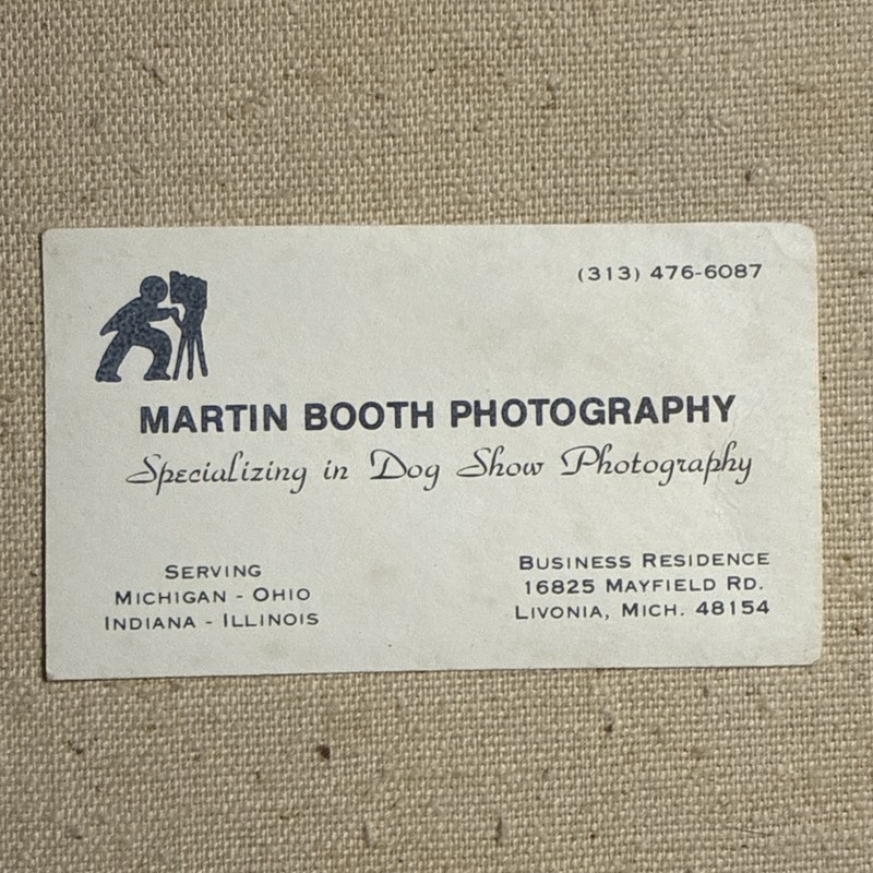 Vintage Business Card Martin Booth Photography Dog Show Livonia Michigan MI