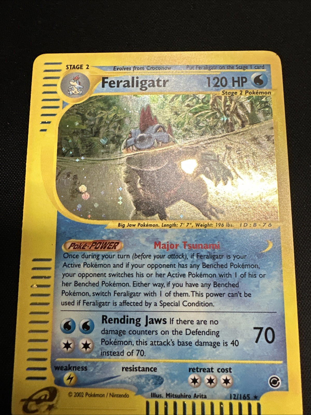 WHOLE SWIRL💫🌀 NM  Feraligatr 12/165 Holo Rare Expedition Nintendo Pokémon Card